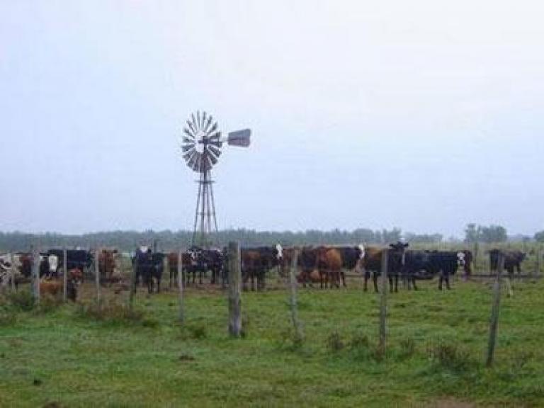 ALQUILO campo MIXTO de 360 Ha EN SUARDI SANTA FE