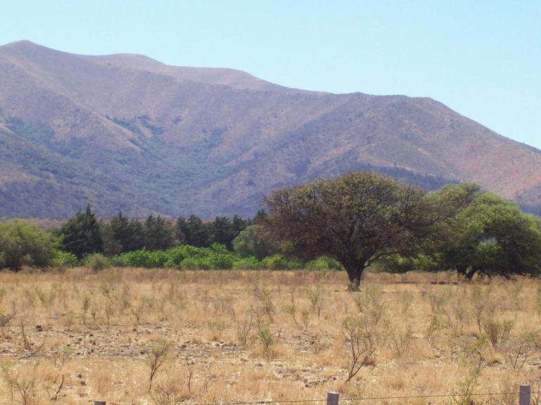 Campo Mixto 480 Ha / Charbonier