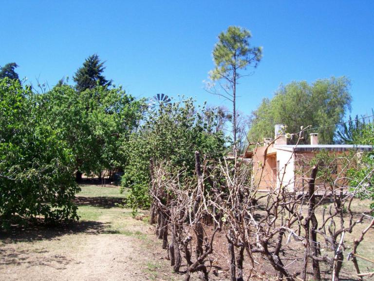 Campo Mixto 480 Ha / Charbonier