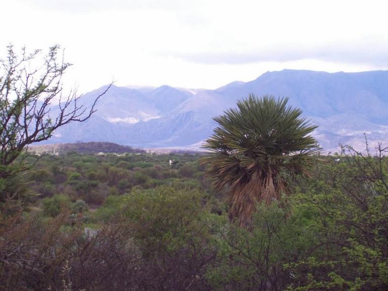 7 Ha 8000 m2 Costa de Arroyo