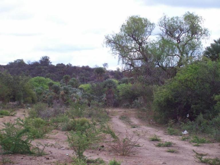 7 Ha 8000 m2 Costa de Arroyo