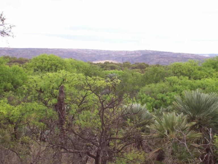 7 Ha 8000 m2 Costa de Arroyo