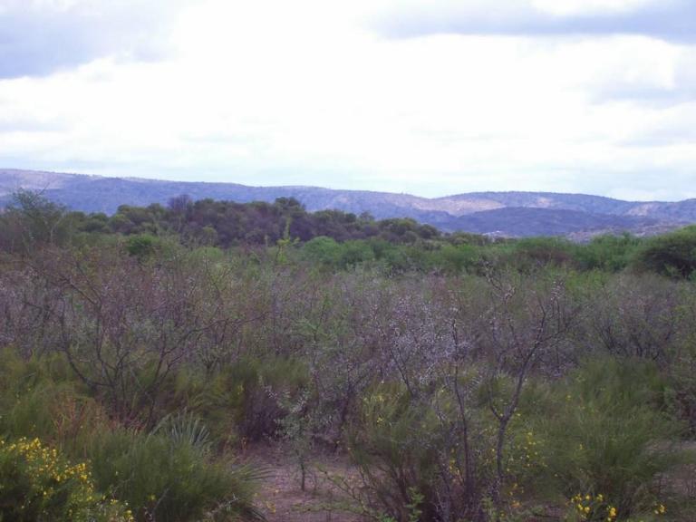7 Ha 8000 m2 Costa de Arroyo