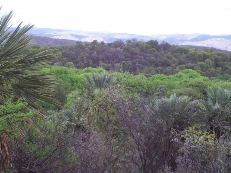 7 Ha 8000 m2 Costa de Arroyo