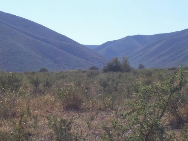 171 Hectáreas sobre Ruta 38