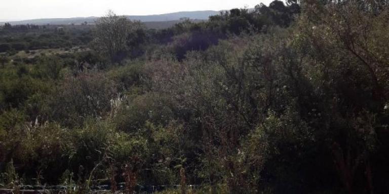 Fraccionamiento en La Cumbre