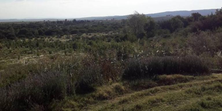 Fraccionamiento en La Cumbre