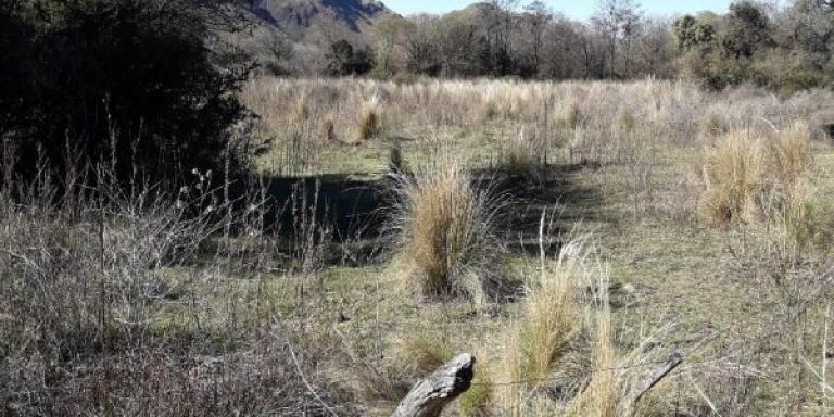 4  fracciones entre 1 a 3 Ha. Valle Ongamira