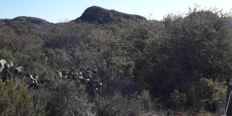 4  fracciones entre 1 a 3 Ha. Valle Ongamira