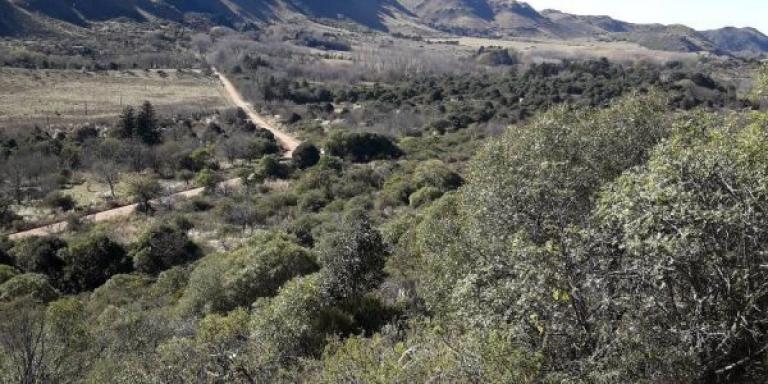 4  fracciones entre 1 a 3 Ha. Valle Ongamira