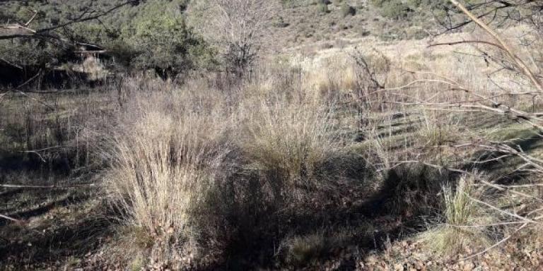 4  fracciones entre 1 a 3 Ha. Valle Ongamira