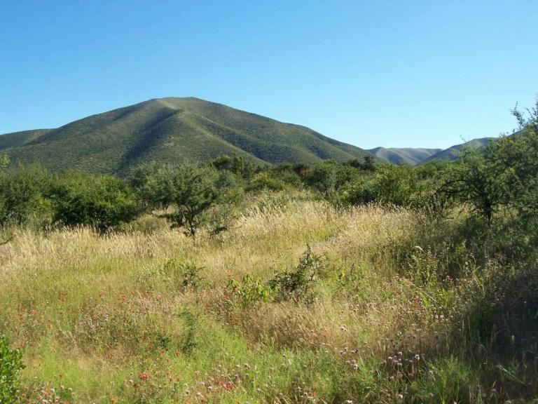 Chacras de montaña