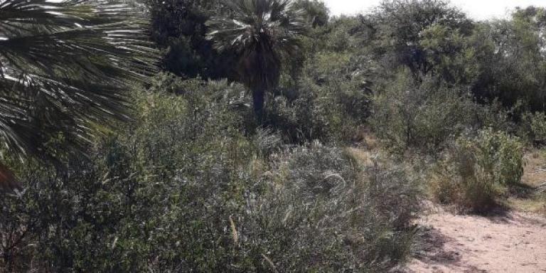 Chacras del Uritorco