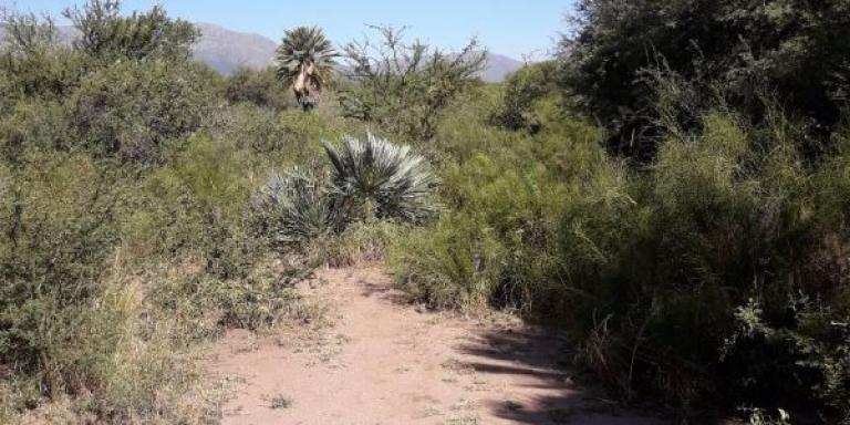 Chacras del Uritorco