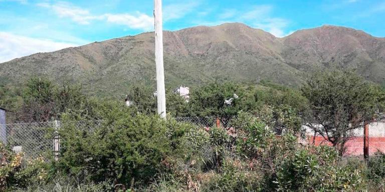 4  últimos  Lotes Altos de Valenti