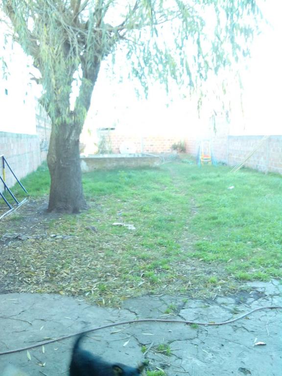 Maria Jose A. Guzman Propiedades, Venta de Chalet en Los Pinares   Mar del Plata Foto11 