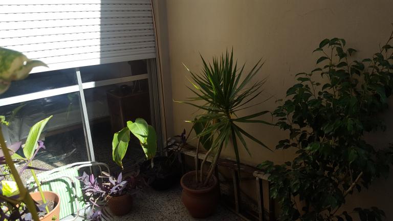 DEPARTAMENTO 2 AMB C/PATIO VILLA BOSCH