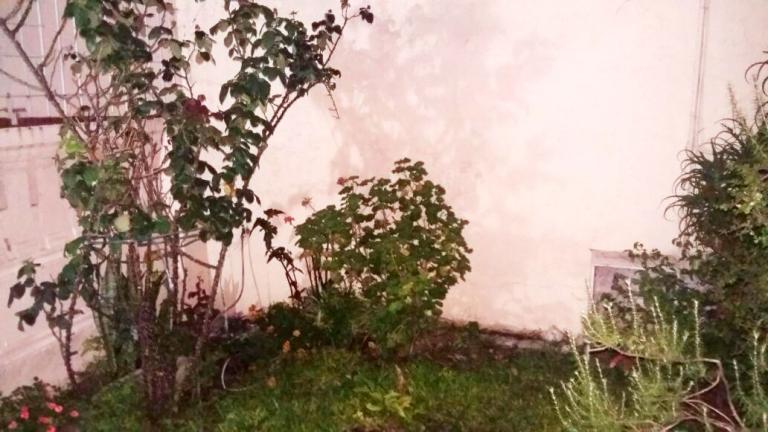 Casa antigua lote propio 8,66 x19 para reciclar