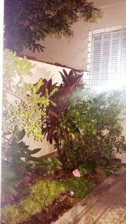 Casa antigua lote propio 8,66 x19 para reciclar
