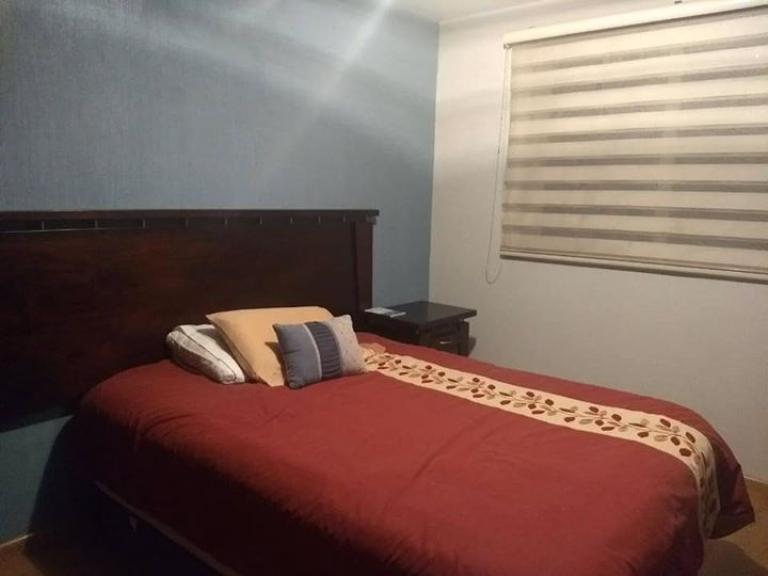 Hermoso Departamento Recién Remodelado