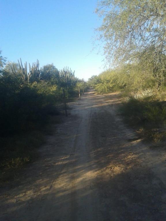 Campo en Santiago del Estero (Figueroa)