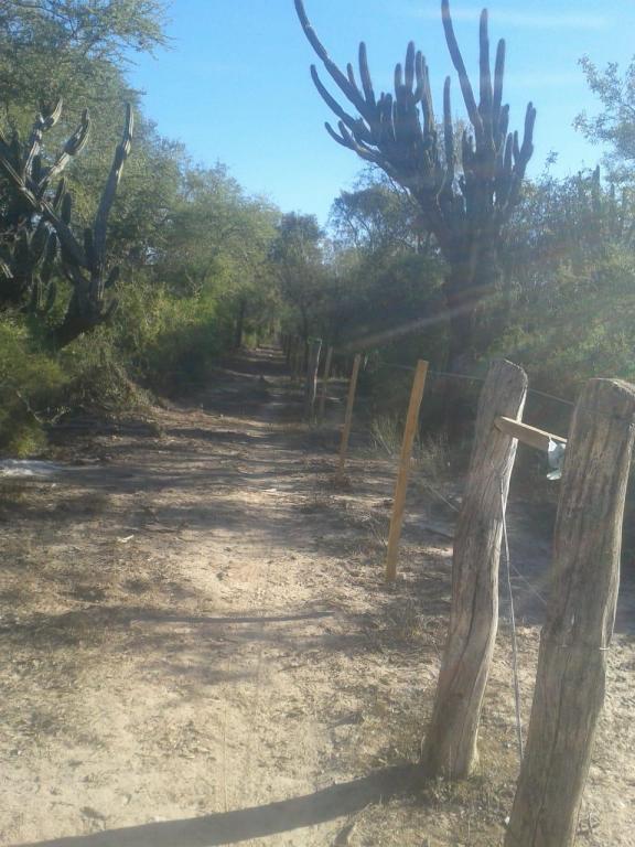 Campo en Santiago del Estero (Figueroa)
