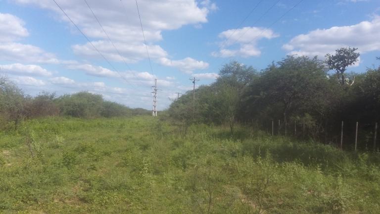 Campo en Santiago del Estero