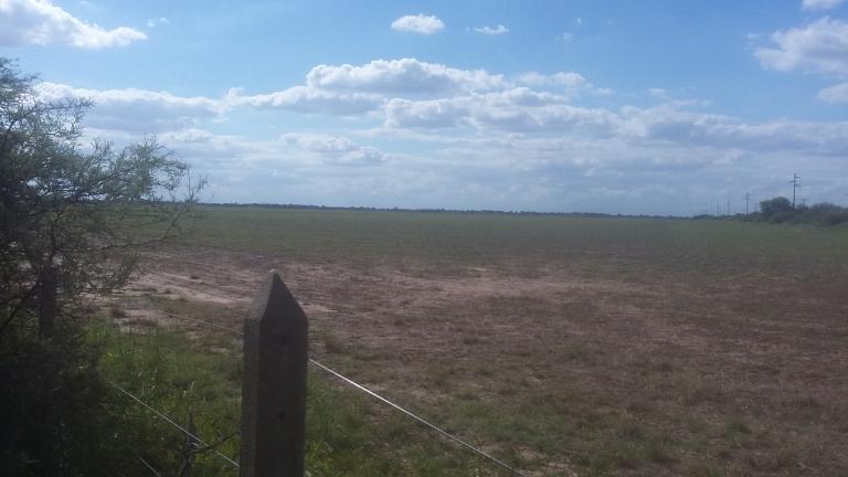 Campo en Santiago del Estero