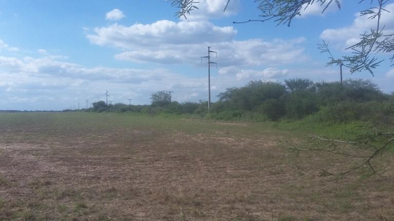 Campo en Santiago del Estero