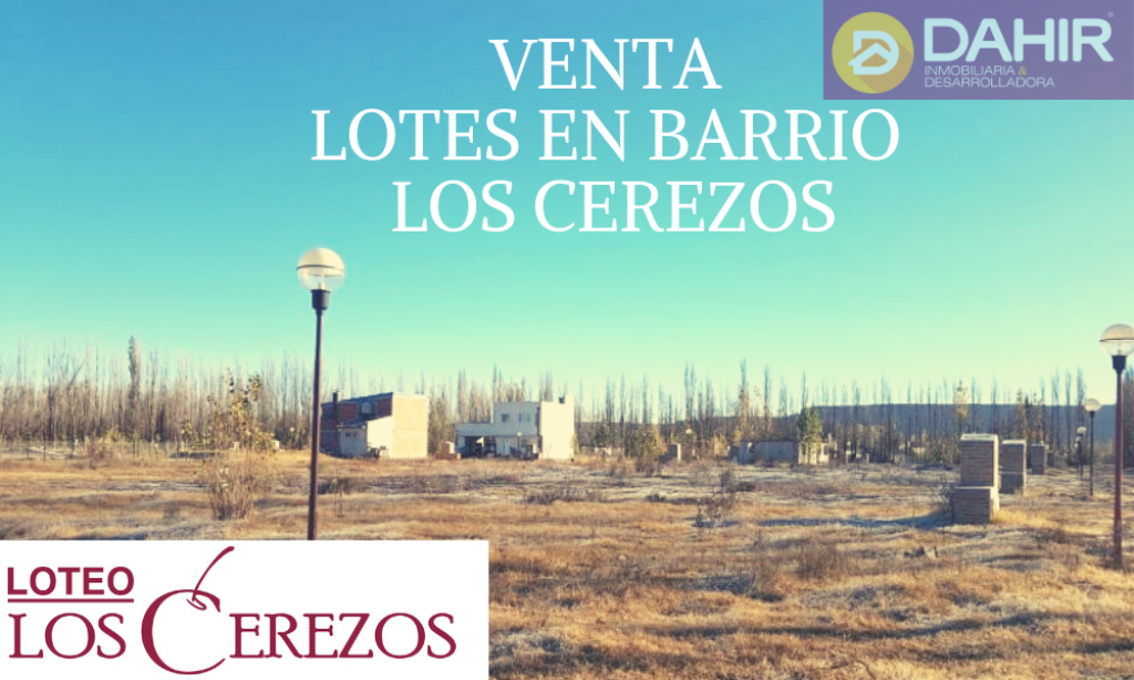 VENTA DE LOTE EN PLOTTIER, NEUQUEN