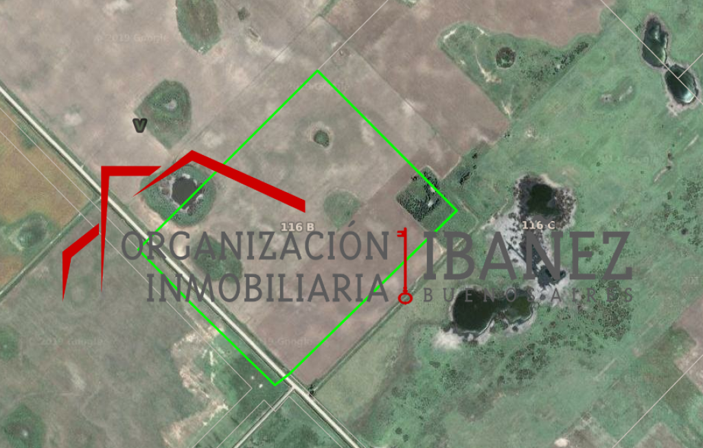 Campo de 30 / 49 ha, Bermudez, (LINCOLN).7 Km de la ruta.