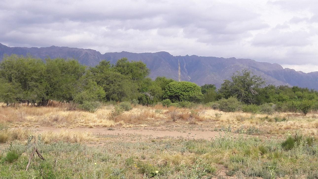 Terreno en pleno pueblo de Leandro N. Alem