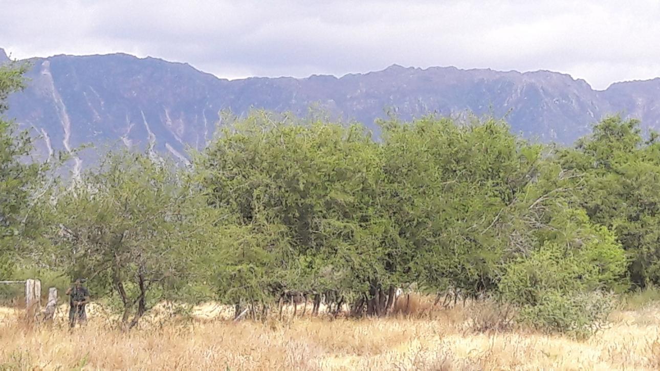 Terreno en pleno pueblo de Leandro N. Alem