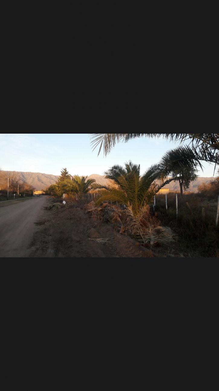 Terreno en pleno pueblo de Leandro N. Alem
