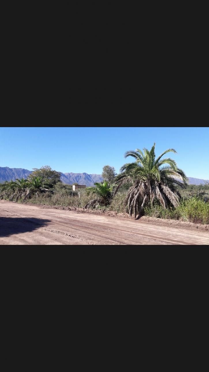 Terreno en pleno pueblo de Leandro N. Alem