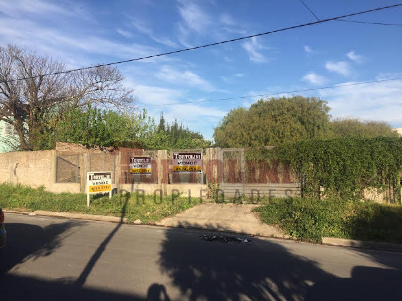 LOTE ITUZAINGO
