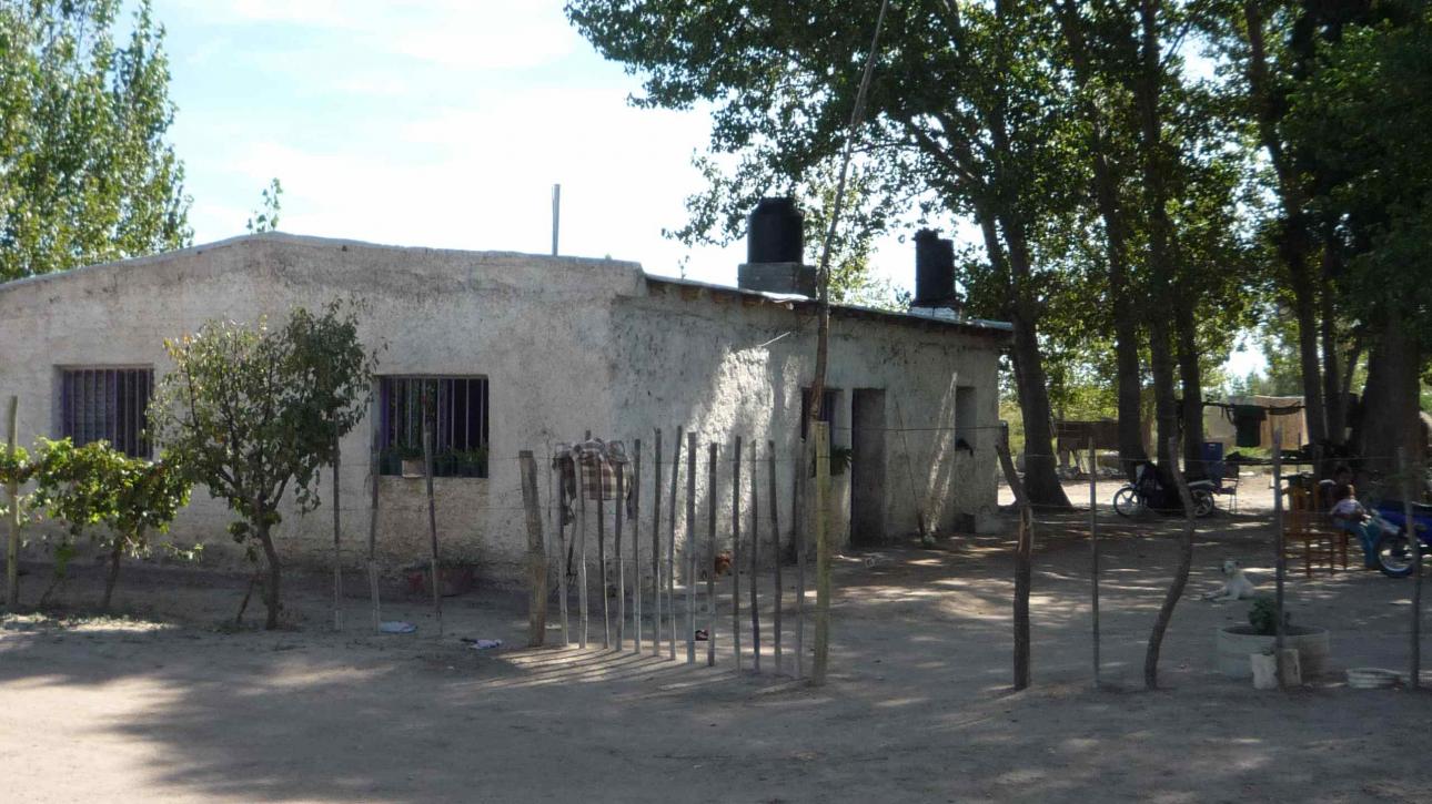 FINCA 115 Hs. en Mendoza