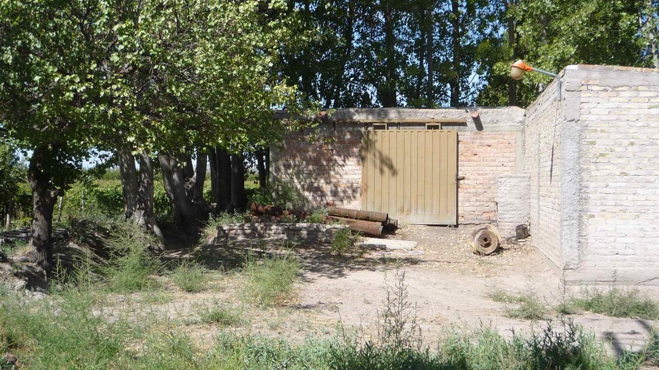 FINCA 115 Hs. en Mendoza