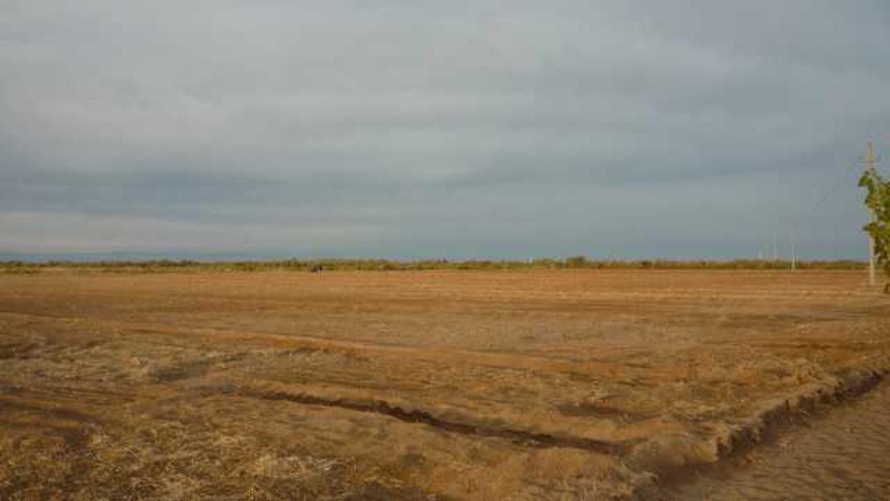 FINCA 90 Hs. en Mendoza