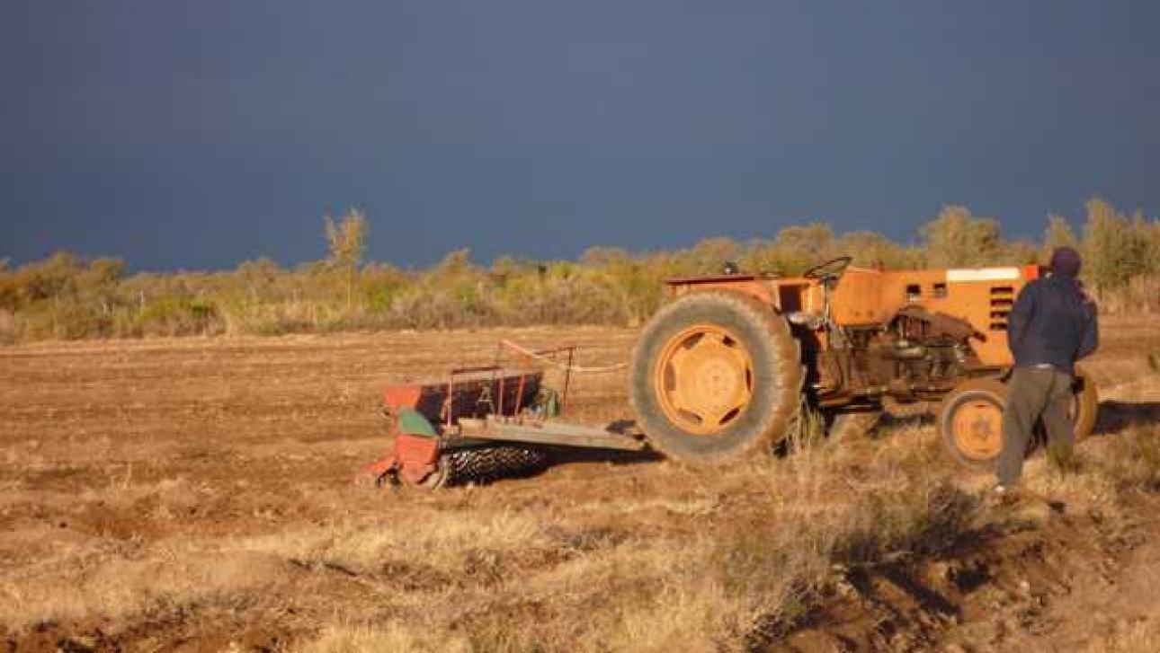 FINCA 90 Hs. en Mendoza
