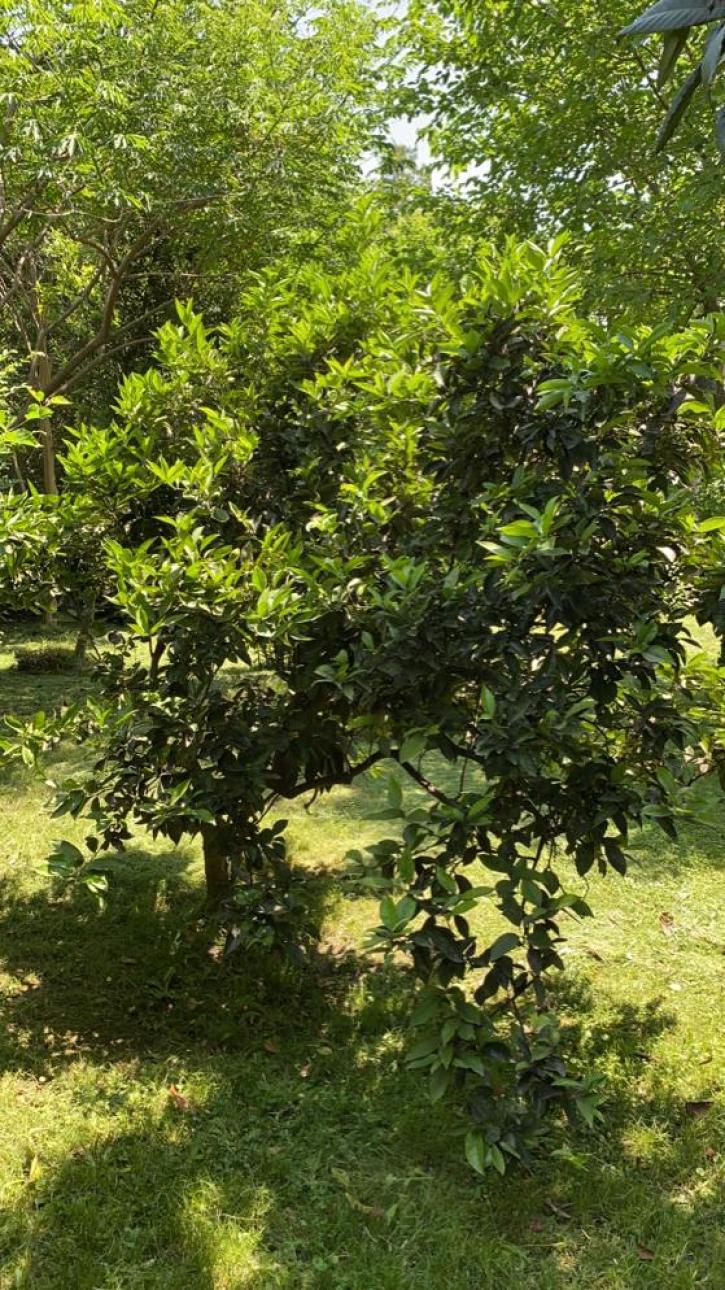 Lote En Venta, Oportunidad! - Francisco Alvarez, Moreno