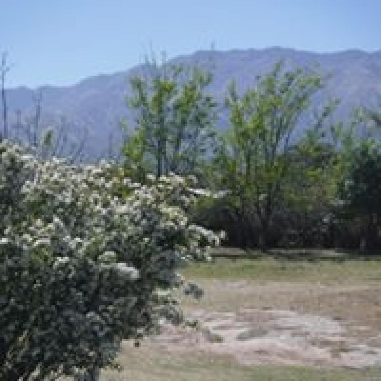 Hermosa Casa en San Javier, Traslasierra