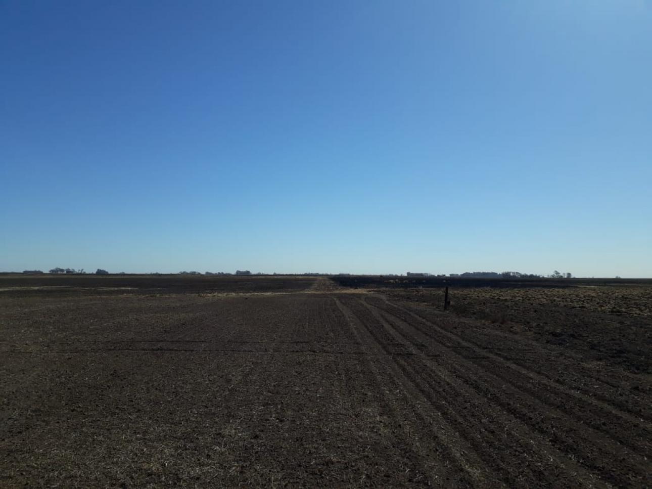 Excelente campo a la venta en Gral Arenales 46/ agrícola.