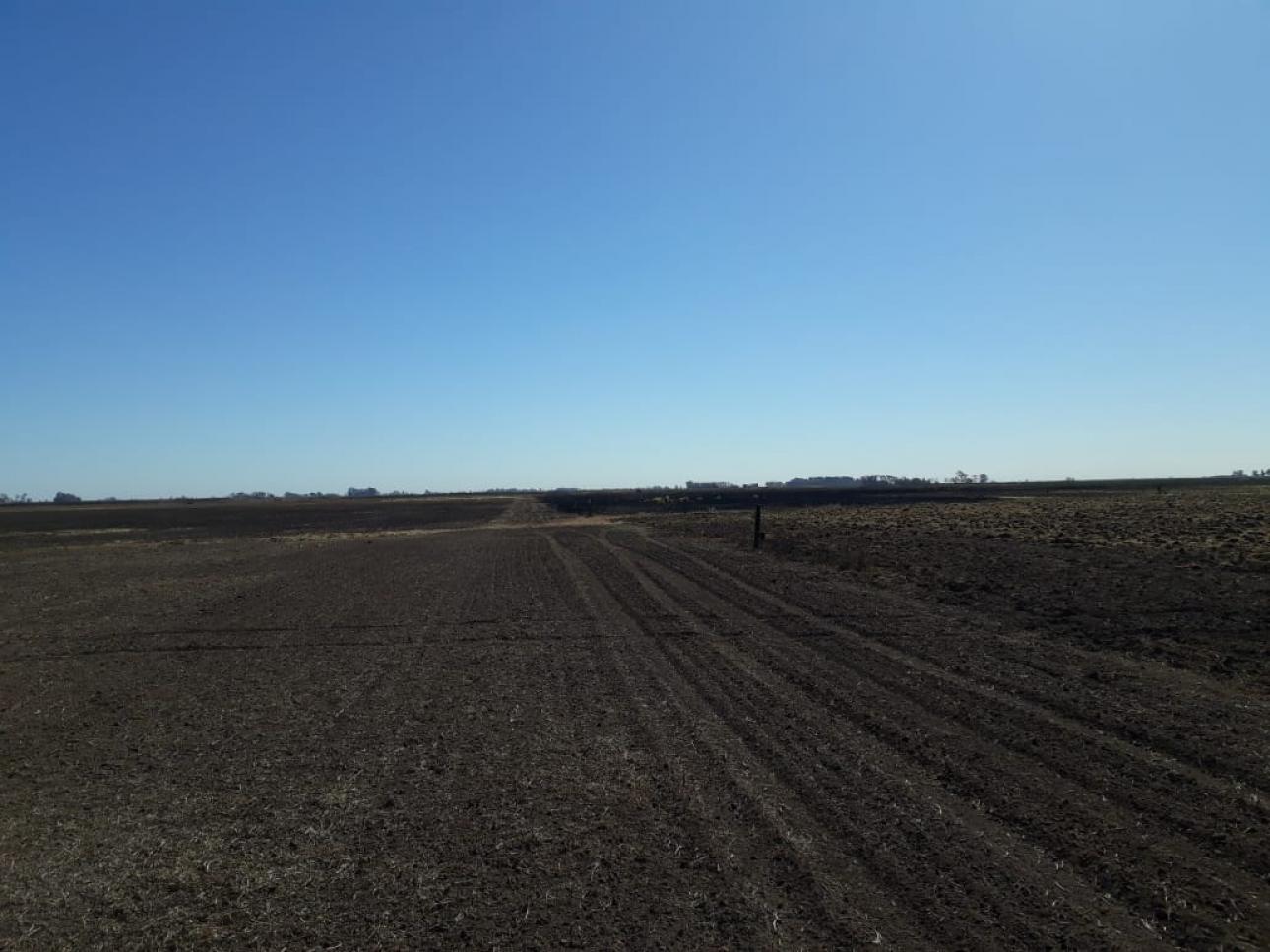 Excelente campo a la venta en Gral Arenales 46/ agrícola.