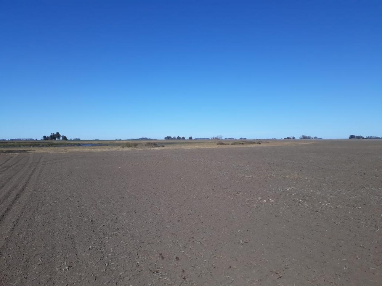 Excelente campo a la venta en Gral Arenales 46/ agrícola.