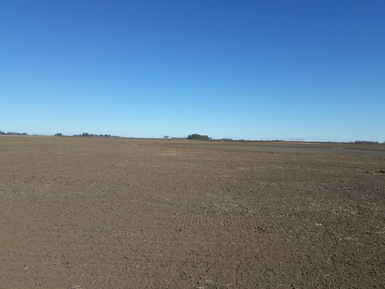 Excelente campo a la venta en Gral Arenales 46/ agrícola.