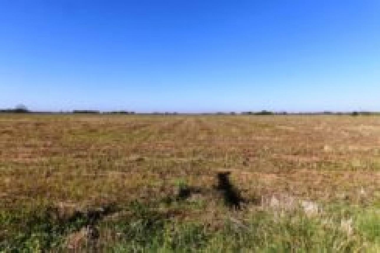Campo de 30 / 49 ha, Bermudez, (LINCOLN).7 Km de la ruta.