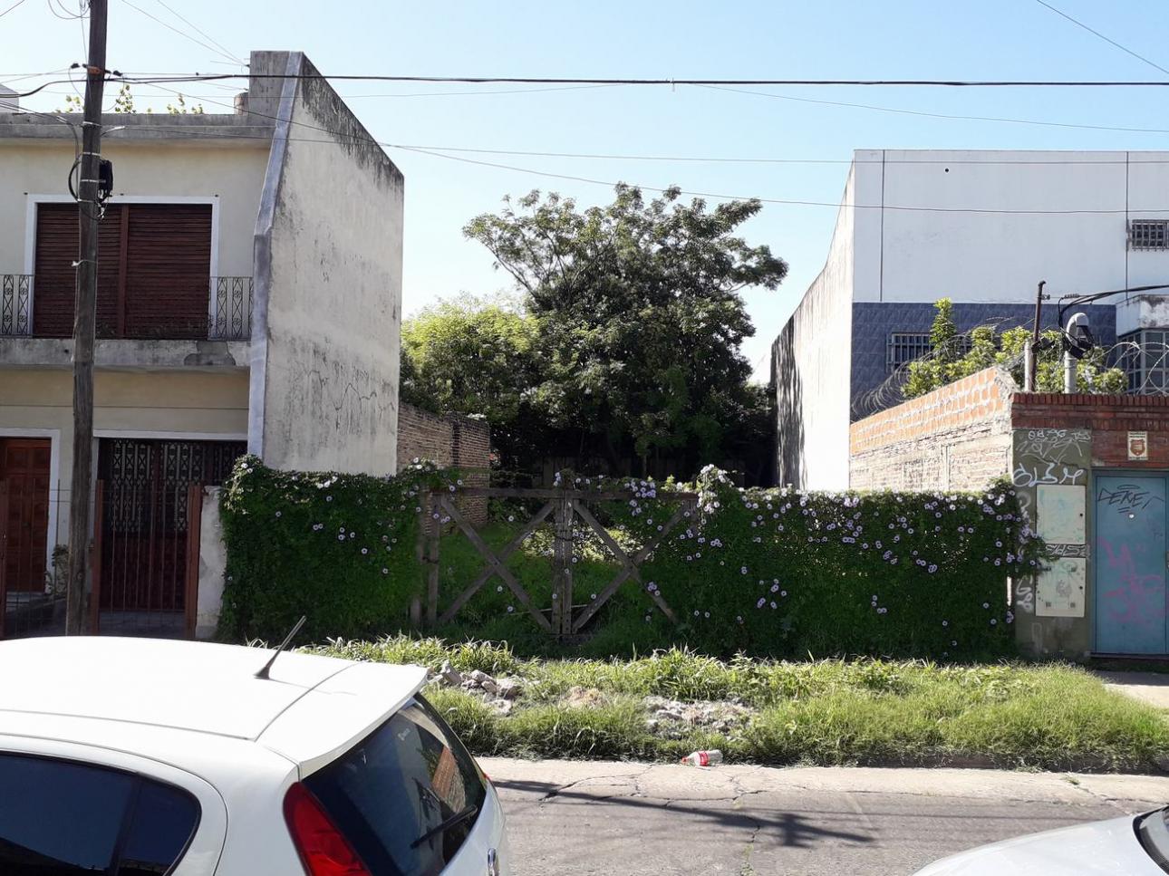Lote