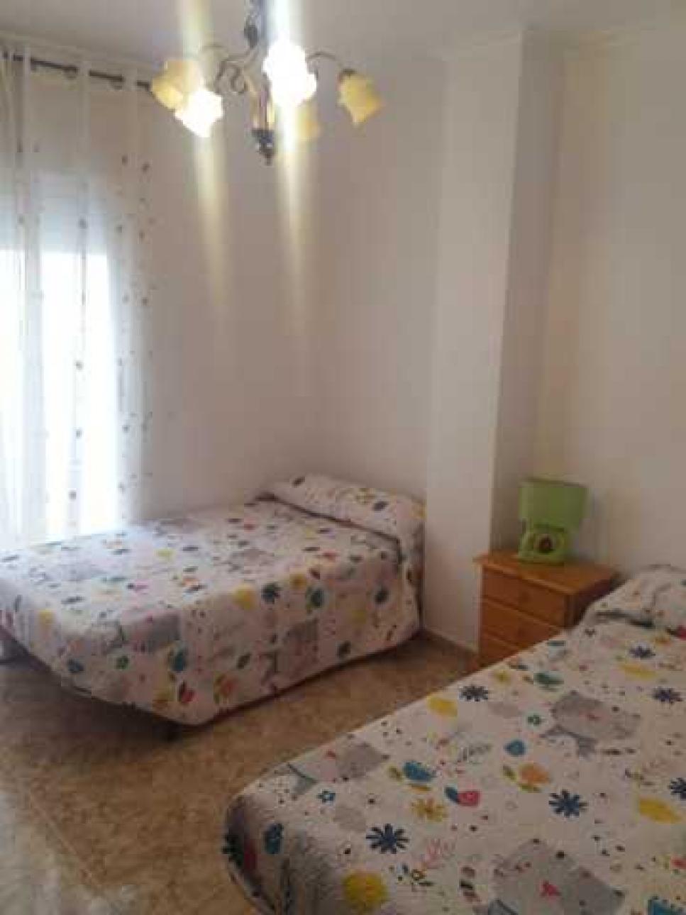 AGENCIA ORIOLANA DE ALQUILER, Alquiler de Departamento en    Torrevieja Foto7 