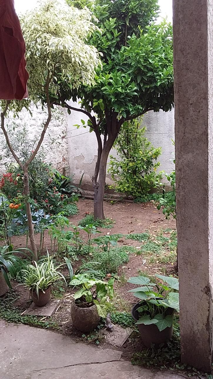 CASA